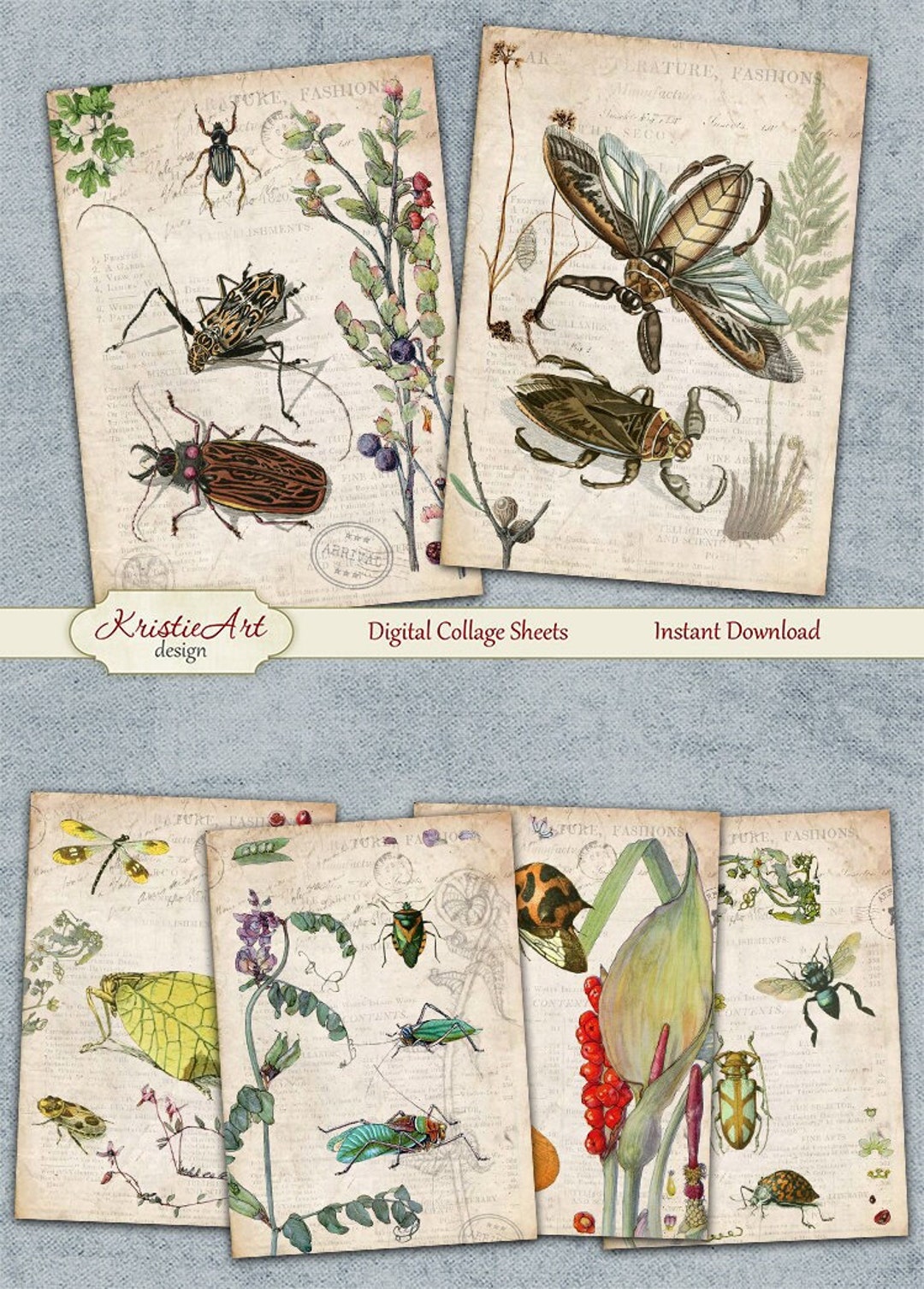 Bug's World - Digital Collage Sheet C234 Flora Fauna - Etsy