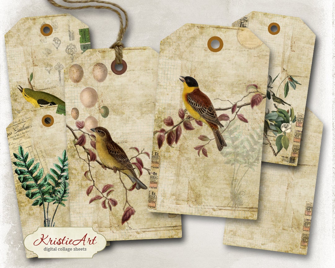 Birds Tags - Digital Collage Sheet Digital Tags T014 Printable Download ...