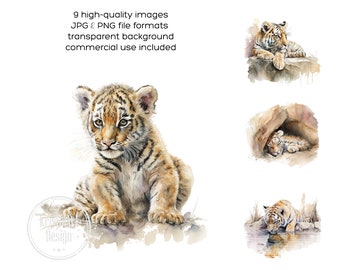 Tiger Clipart - Digital nedladdning - Söt tigergrafik - Tigerillustrationer - Djurclipart - Safaritema - Djungelfest, CA008