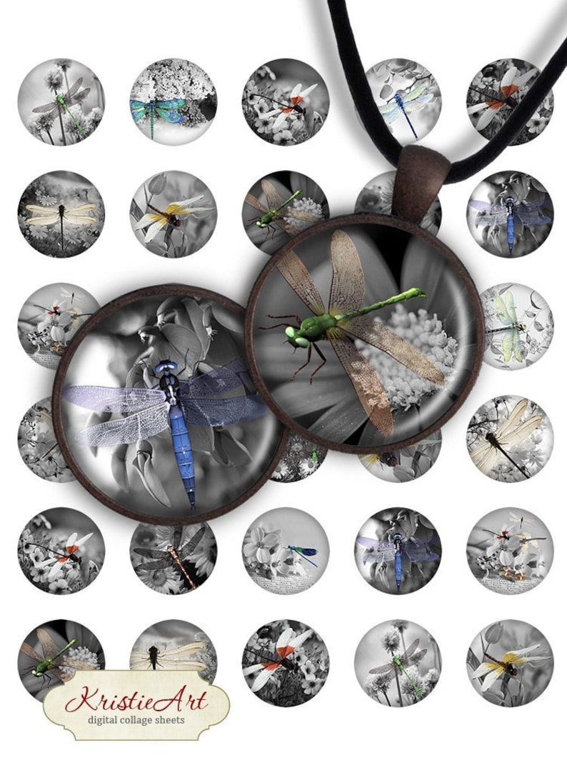May include: A set of 18 digital collage sheets featuring black and white images of dragonflies with various colored wings. The images are perfect for crafting projects, scrapbooking, and digital art.