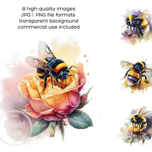 May include: A watercolor illustration of a bumblebee pollinating a yellow rose with pink edges. The bee is yellow and black with fuzzy hairs. The rose is surrounded by a watercolor wash of pink and yellow.