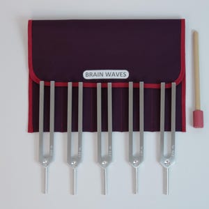 Tuning Forks BRAIN WAVES (set of 5 pcs)