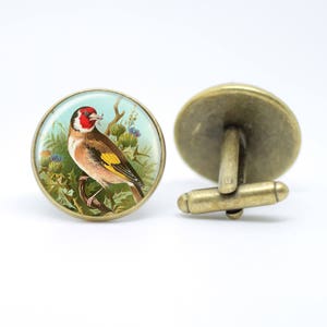 Britische Gartenvögel Manschettenknopf in Bronze oder Silber Fassung in Geschenkbox für Vogelbeobachter Stieglitz, Rotkehlchen, Dompfaff