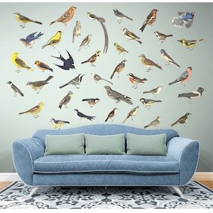 Bird Wall Decals, Vintage Bird Sticker, Bird Wall Decor, Bird Lovers Gift, Home Decor, Wall Decals, Reusable Wall Decals, Removable Decals