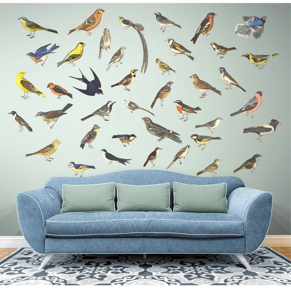 Bird Wall Decals Etsy