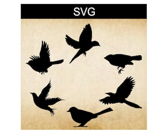 Bird SVG Bundle: Silhouette Clip Art for DIY Crafts (Digital Download)