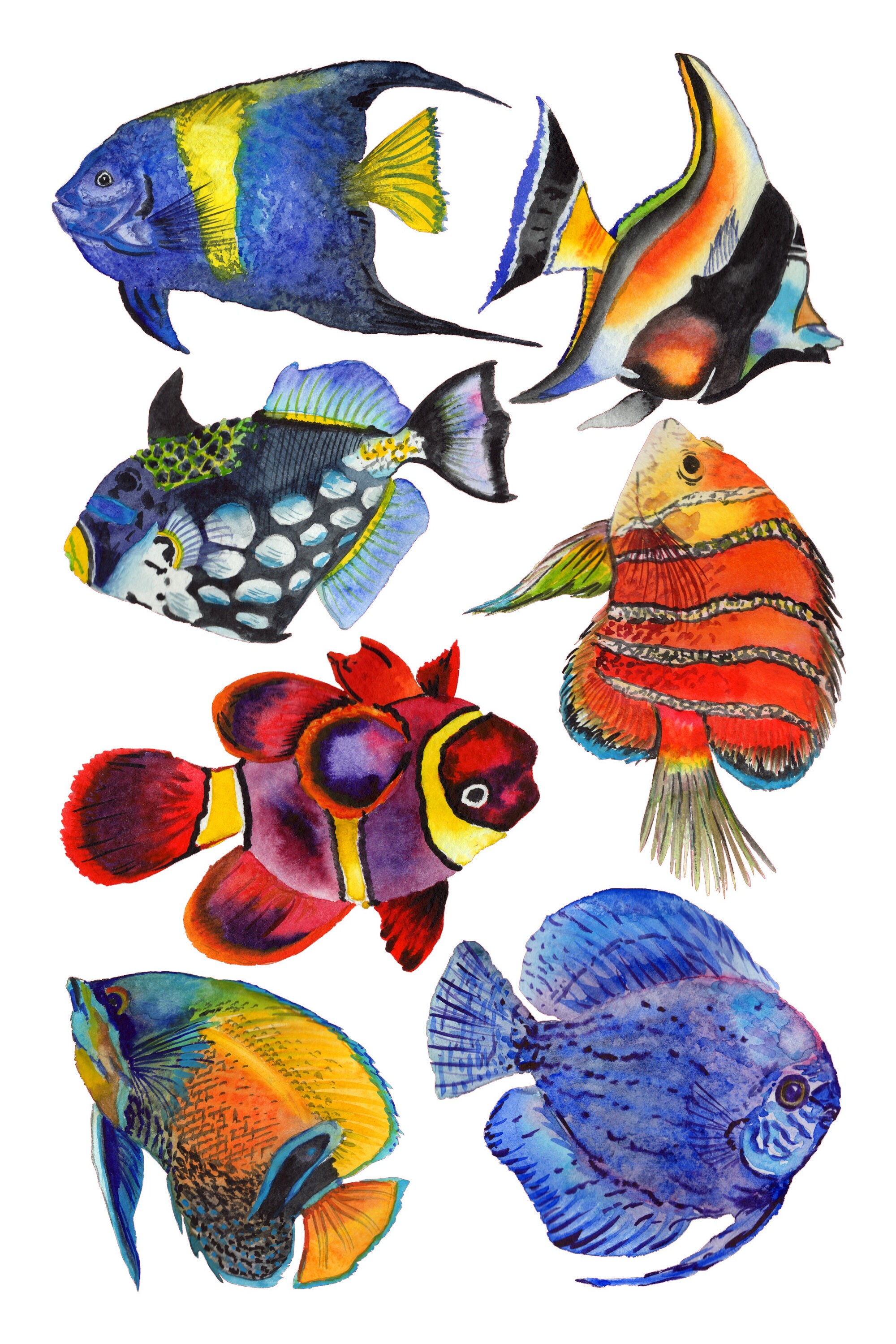 Tropical Fish Wall Decals Removable Wall Decal Tropical Etsy