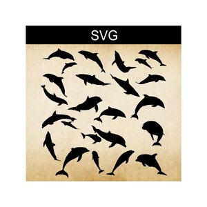 SVG Delfin Bundle, digitale Clip Art, Delfine Silhouette, Silhouette Delfine, Delfine digital, Sublimation, Heat Transfers, Abziehbilder