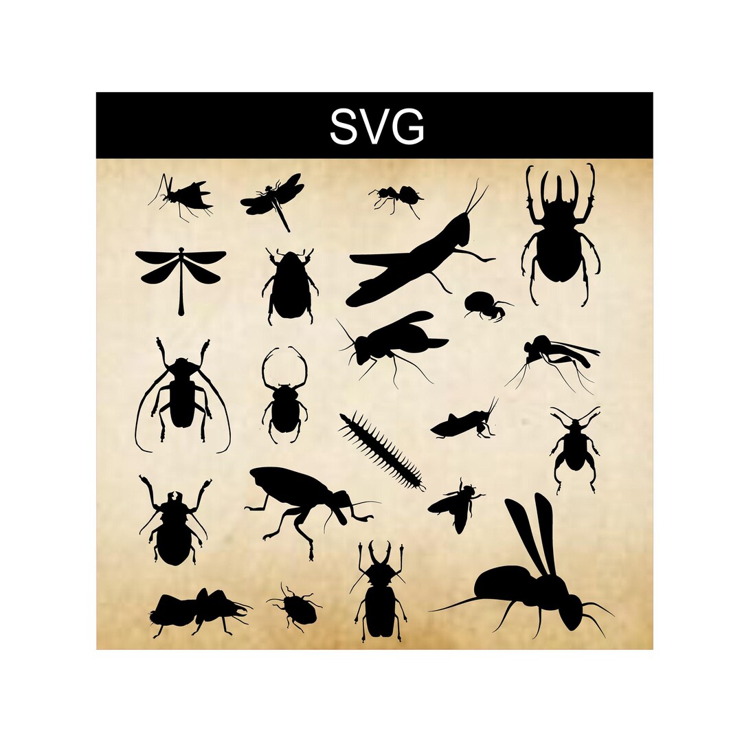 Insect File Insect SVG Bundle: Bug Silhouettes, DIY Crafts (digital Download) - Etsy