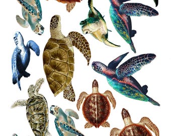 Watercolor Sea Turtle Fabric Wall Decals - Tropical Bathroom Decor