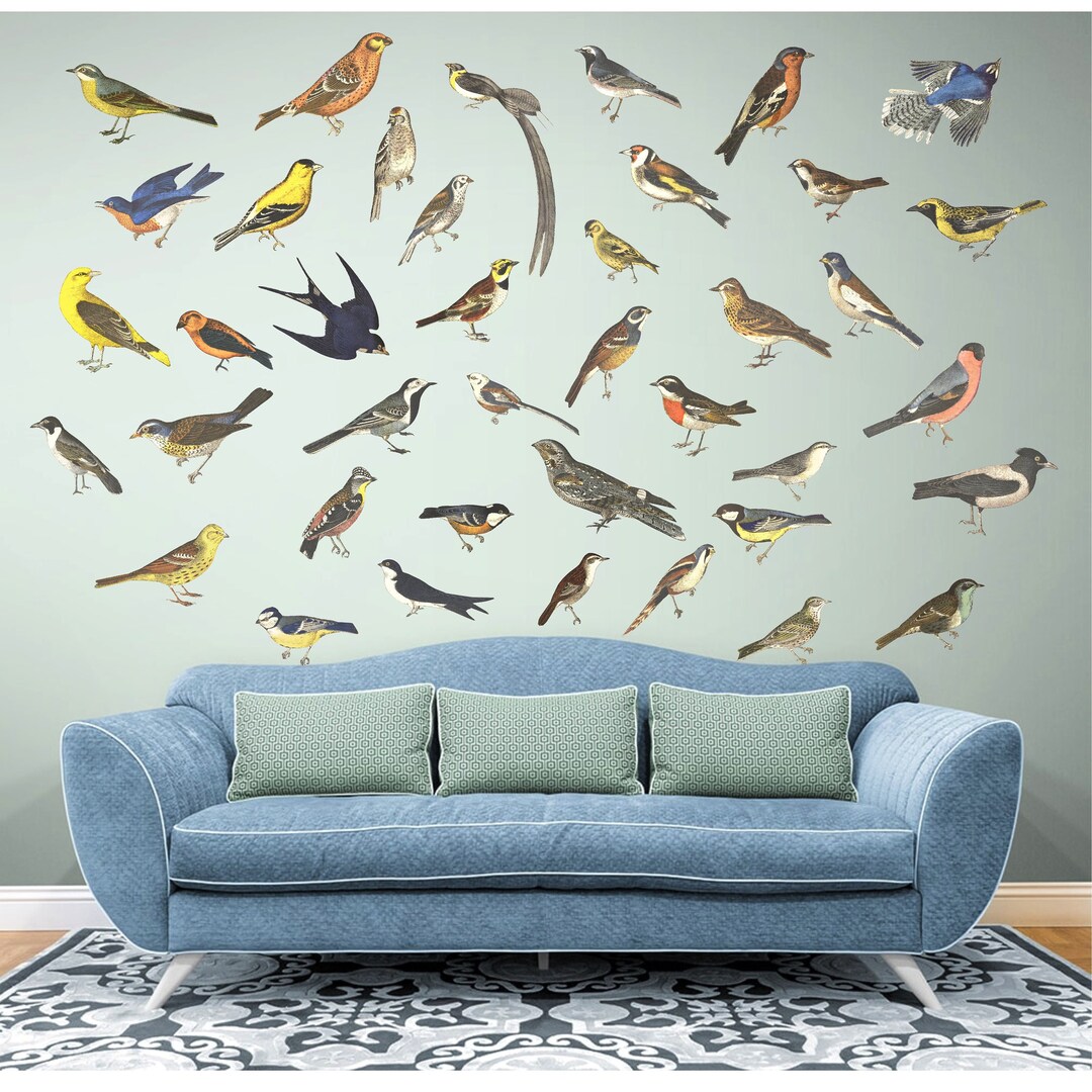 Bird Wall Decals, Vintage Bird Sticker, Bird Wall Decor, Bird Lovers ...