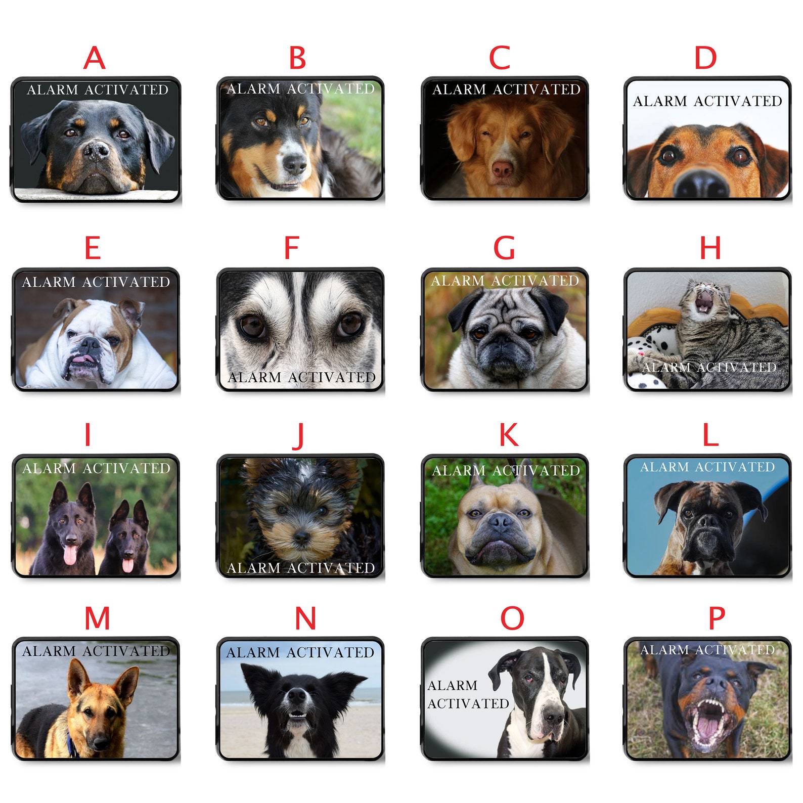 Trailer Hitch Covers Dog Hitch Covers Funny Hitch Cover Car Etsy