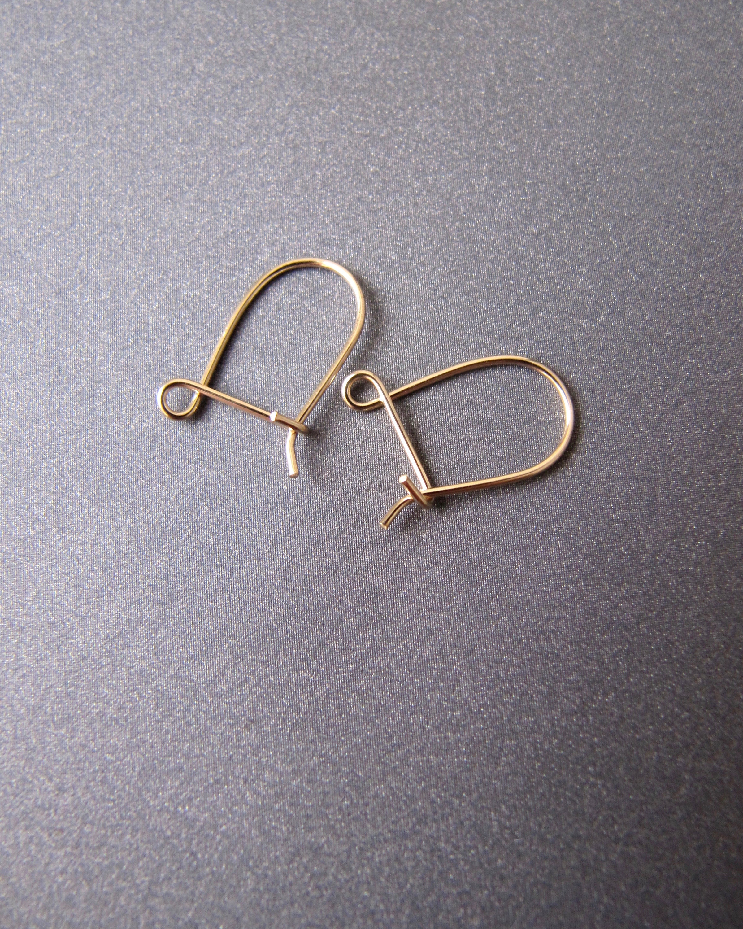 Earring Hooks (Gold) - 1 Pair – Erstwilder