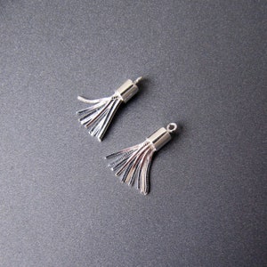 May include: Two silver-colored tassels with a metallic finish. Each tassel has a cylindrical top with a small loop and multiple strands. The tassels are displayed on a dark gray surface.