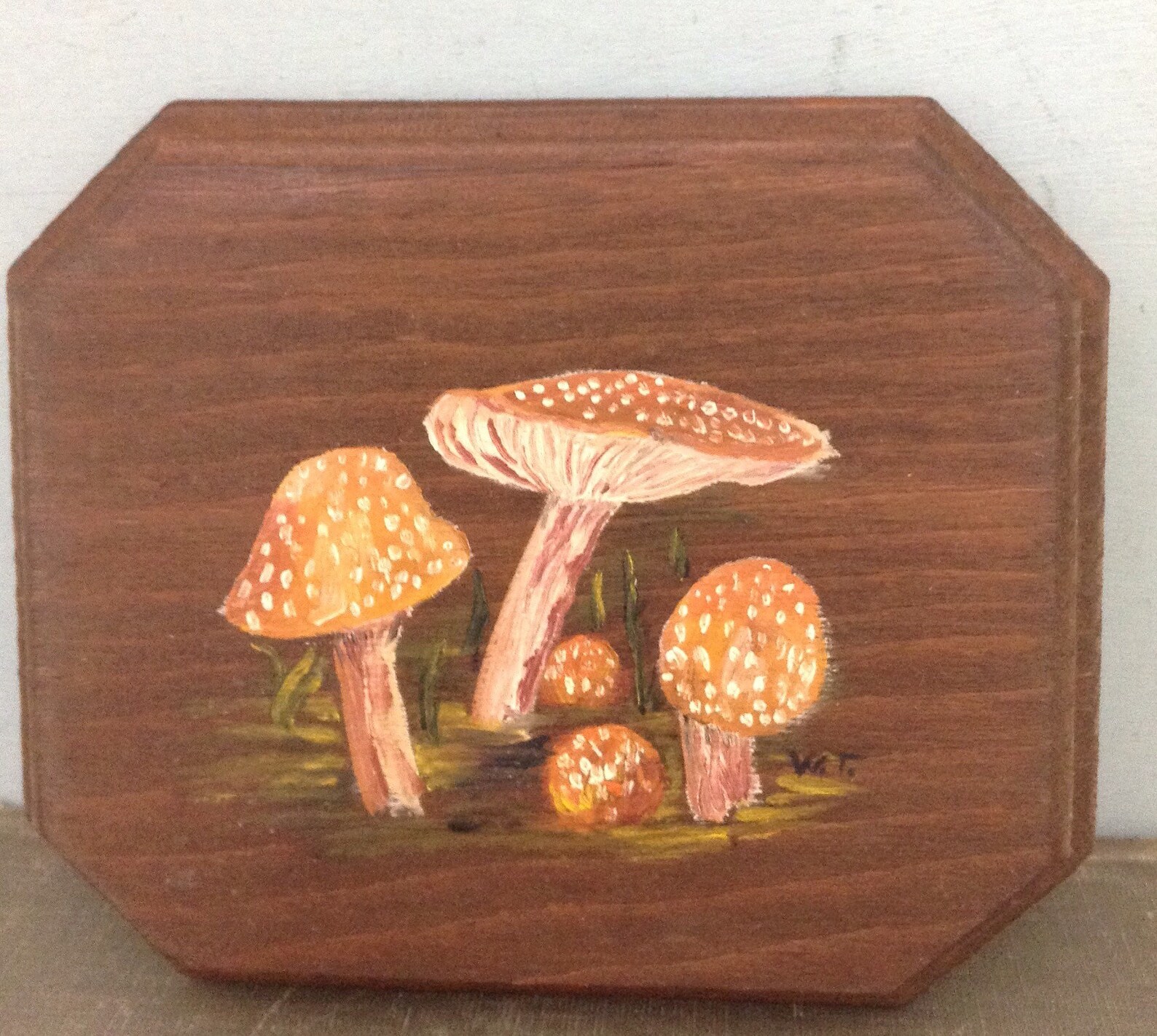 Handpainted Wood Mushroom Wall Pictures Mushroom Wall Plaques Etsy