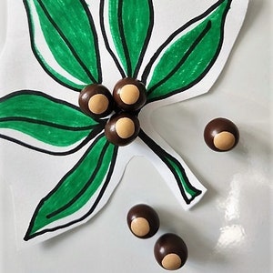 Mini Buckeye Nut Magnets Handmade from Polymer Clay, Strong.  Great gift for an Ohio State fan!