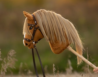 Hobby horse with a leather bridle and reins