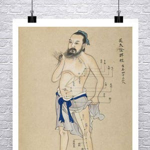 Acupuncture Chart Art Print: Chinese Medicine Giclee