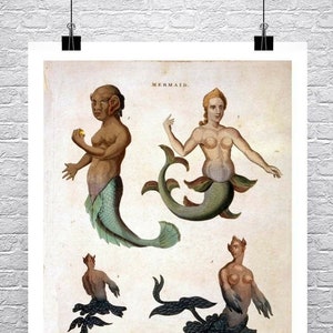 Mermaid And Merman 1794 Fine Art Illustration Giclee Print on Premium Canvas or Paper