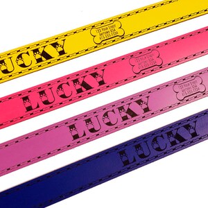 ID DOG COLLAR Small Lucky Design Custom Leather image 6