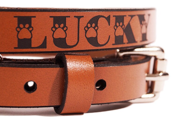 ID DOG COLLAR Small Lucky Design Custom Leather image 2
