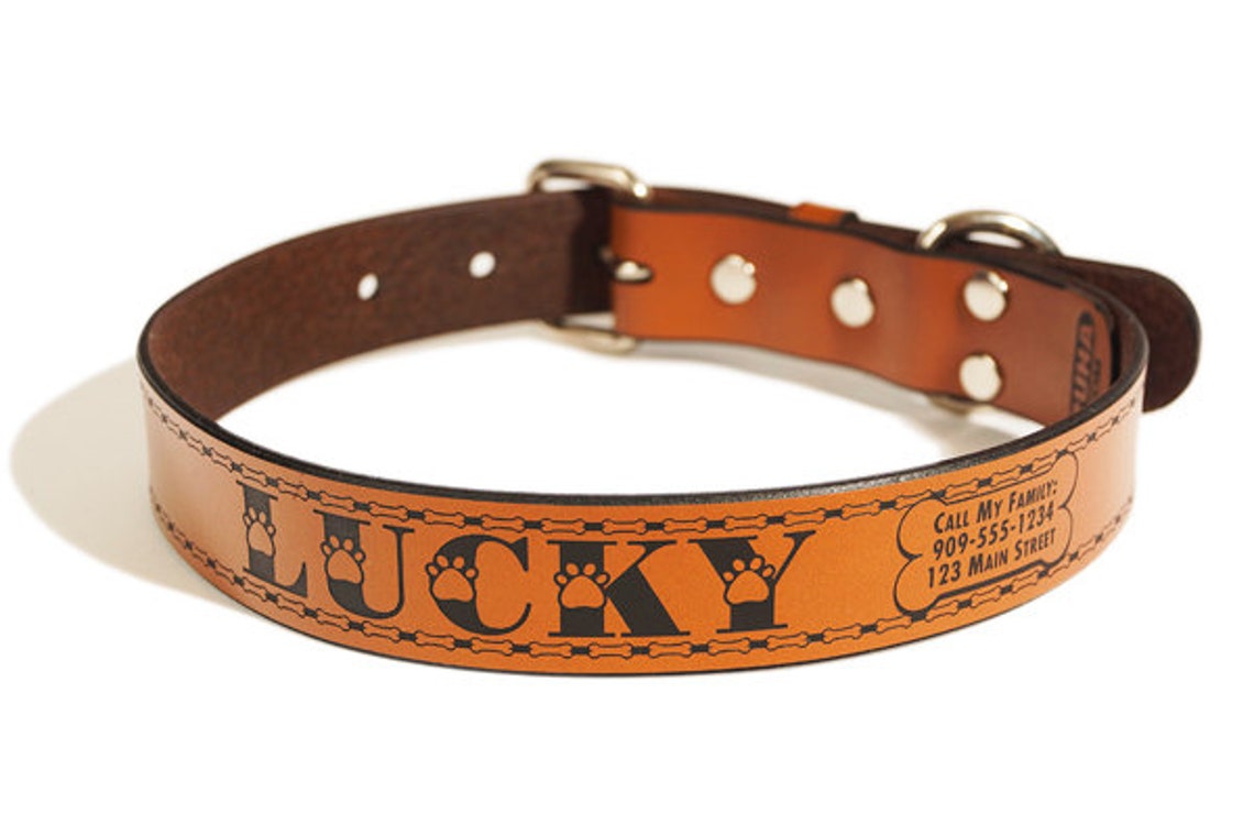Personalized Leather ID Dog Collar Large Size Lucky Design Etsy