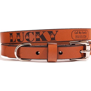 ID DOG COLLAR Small Lucky Design Custom Leather image 1