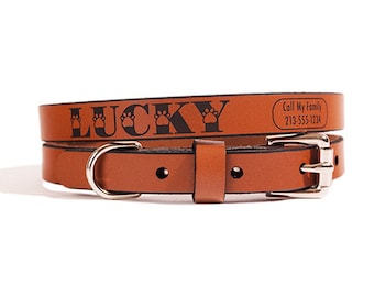 ID DOG COLLAR - Small - Lucky Design - Custom Leather