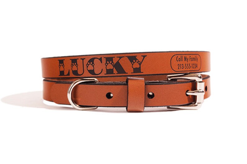 ID DOG COLLAR Small Lucky Design Custom Leather image 1