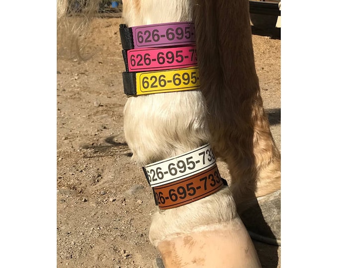 HORSE I.D. ANKLET ~ Identification Anklets for Horse's fetlock with Contact Phone Numbers