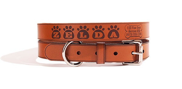 zelda dog collar
