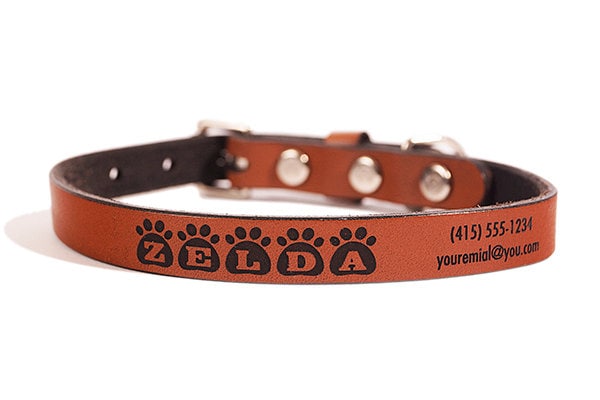 zelda cat collar