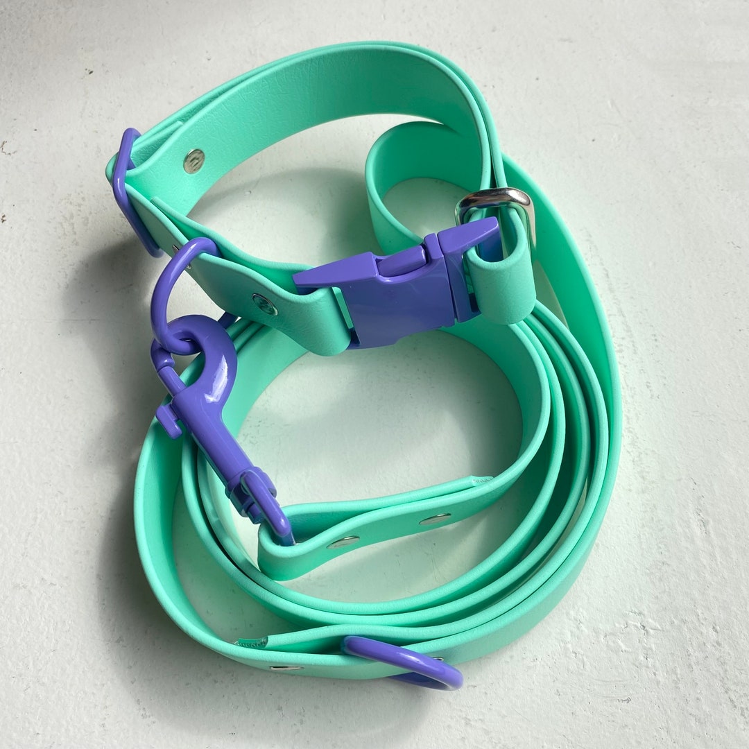 1 Colorful Biothane Collar & Leash Set - Etsy