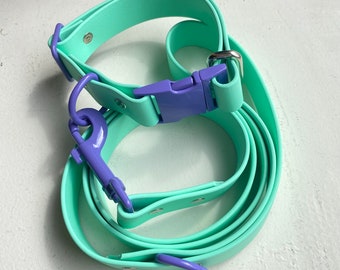 1” Colorful Biothane Collar & Leash Set