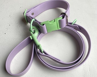 1” Biothane Collar & Leash Pre-Made Sets