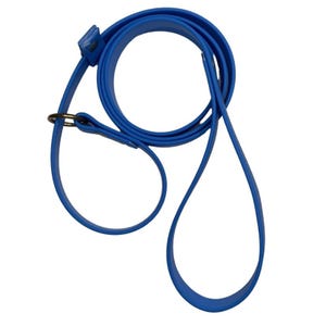 May include: A blue rubber dog leash with a metal ring at one end.