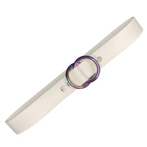 1&quot; Biothane Handmade Dog Slip Collar, water resistant and easy to clean