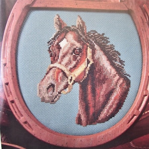 May include: A cross-stitch artwork of a horse's head, framed within a horseshoe-shaped wooden frame. The horse is depicted in shades of brown, with a white blaze on its face and a bridle. The background is a light blue fabric.