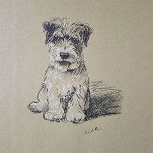 Fox Terrier Dog Art Print by Lucy Dawson/ 1937 Binkie, Sealyham Illustrated Drawing, Wall Art Decor for framing/ 9 X 11 1/2"
