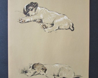 Fox Terrier Dog Art Print by Lucy Dawson/ 1937 Mike, Sealyham Illustrated Drawing, Wall Art Decor for framing/ 9 X 11 1/4"