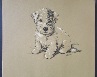Russell Terrier Dog Art Print by Lucy Dawson/ 1937 Albert, Sealyham Illustrated Drawing, Wall Art Decor for framing/ 9 X 11 1/4"