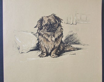 Pekingese Dog Art Print by Lucy Dawson/ 1937 Nanki Poo, Pekinese Sealyham Illustrated Drawing, Wall Art Decor for framing/ 9 X 11 1/4"