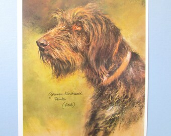 German Wirehaired Pointer Dog Art Print/ Wirehair Pointer hunting dog, Wall Art Decor for framing/ 8 1/2 X 10 3/4"
