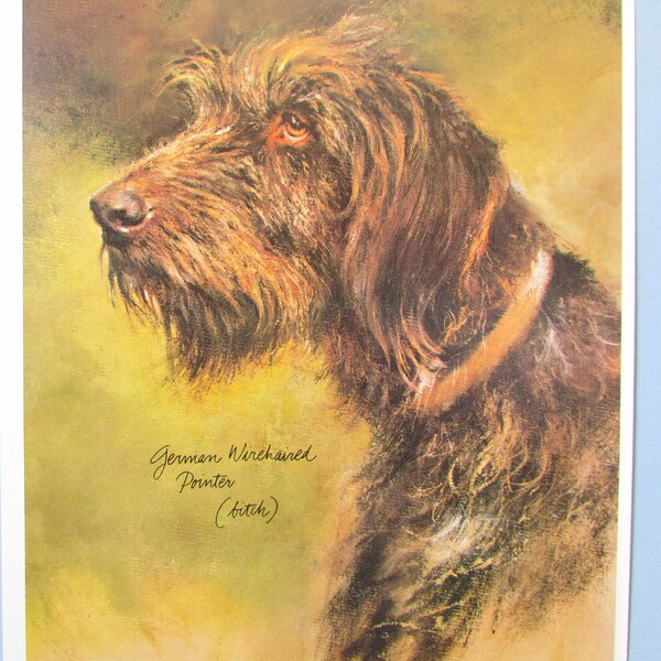 German Wirehaired Pointer Dog Art Print/ Wirehair Pointer hunting dog, Wall Art Decor for framing/ 8 1/2 X 10 3/4"