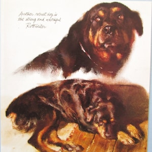 以下が含まれることがあります： ロットワイラーの犬を描いた絵画。犬は2つのポーズで描かれており、1つは頭を上げて、もう1つは横たわっている。画像の上部には、「Another robust dog is the strong and watchful Rottweiler」というテキストが筆記体で書かれている。