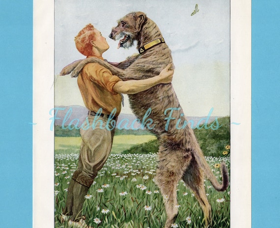 Irish Wolfhound Pants Irish Wolfhound Pants