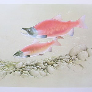 Kokanee Salmon Spinner Hoochies (2): uv “ORANGE BANDIT”