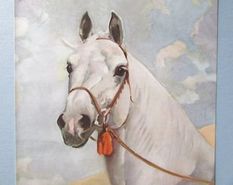 White Arab, Arabian Horse Art Print/ Equestrian Wall Art Decor for framing/ 8 3/4 X 11"