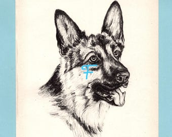 May include: A black and white charcoal-style illustration of a German Shepherd dog head, featuring pointed ears and an open mouth with a tongue visible. A bright blue symbol is drawn over the dog's cheek. The text CH. HUGO OF COSALTA is printed.
