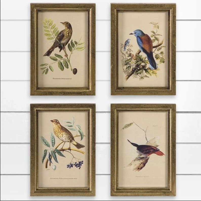 Постер птицы. Интерьерные картины птицы. Постеры с птичками. Постеры с изображением птиц. Рамка птицы.